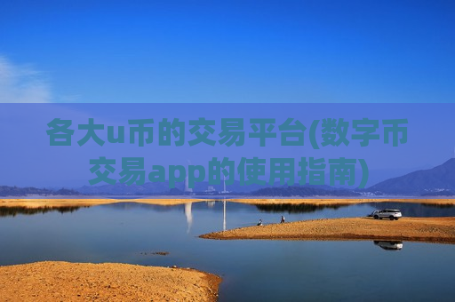 各大u币的交易平台(数字币交易app的使用指南)