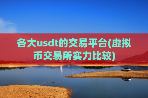 各大usdt的交易平台(虚拟币交易所实力比较)-第1张图片-币圈网