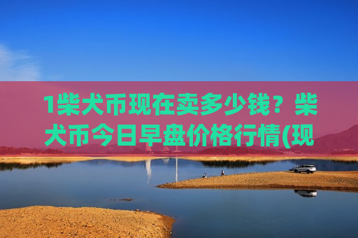 1柴犬币现在卖多少钱？柴犬币今日早盘价格行情(现价0.00015851元)-第1张图片-币圈网