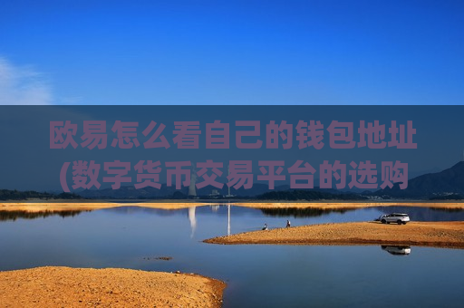 欧易怎么看自己的钱包地址(数字货币交易平台的选购技巧)-第1张图片-币圈网 欧易怎么看自己的钱包地址(数字货币交易平台的选购技巧)-第1张图片-币圈网