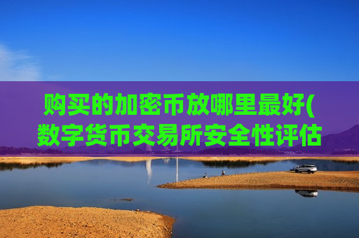 购买的加密币放哪里最好(数字货币交易所安全性评估)-第1张图片-币圈网 购买的加密币放哪里最好(数字货币交易所安全性评估)-第1张图片-币圈网