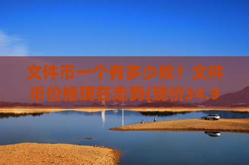 文件币一个有多少枚？文件币价格现在走势(现价34.911元)