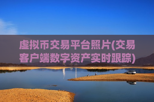 虚拟币交易平台照片(交易客户端数字资产实时跟踪)
