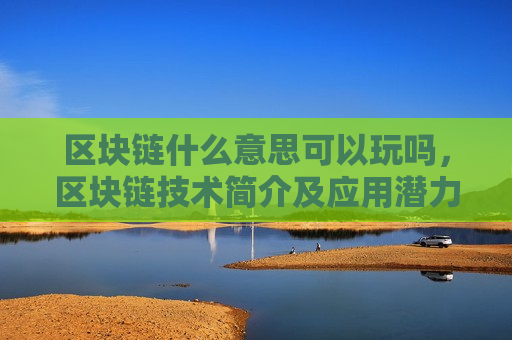 区块链什么意思可以玩吗，区块链技术简介及应用潜力