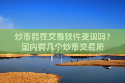 炒币能在交易软件变现吗？国内有几个炒币交易所