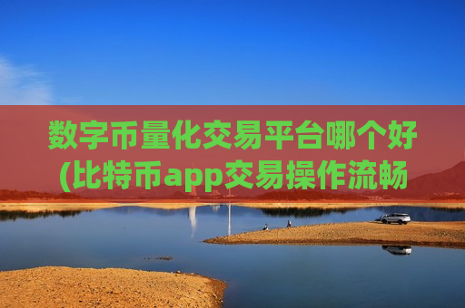 数字币量化交易平台哪个好(比特币app交易操作流畅)