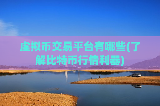 虚拟币交易平台有哪些(了解比特币行情利器)