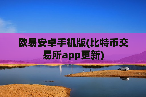 欧易安卓手机版(比特币交易所app更新)