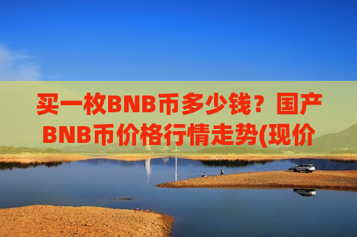 买一枚BNB币多少钱？国产BNB币价格行情走势(现价4795.77元)