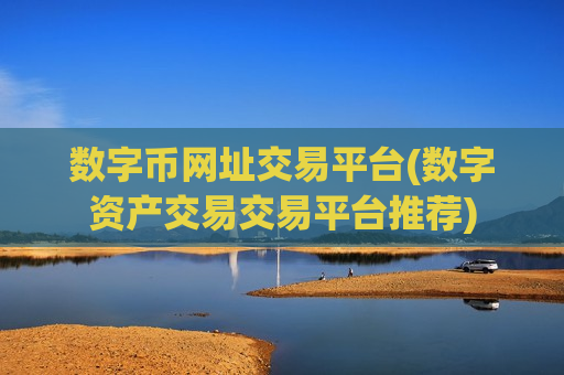 数字币网址交易平台(数字资产交易交易平台推荐)