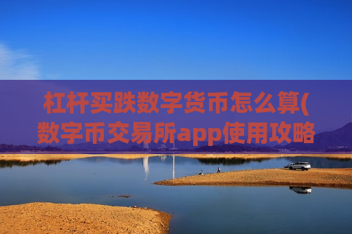杠杆买跌数字货币怎么算(数字币交易所app使用攻略)