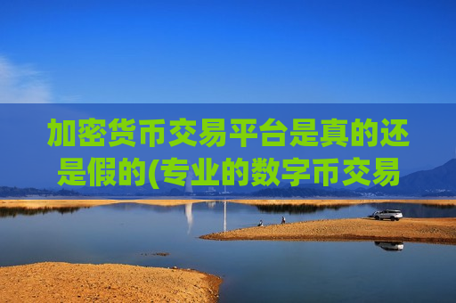 加密货币交易平台是真的还是假的(专业的数字币交易平台导航)-第1张图片-币圈网