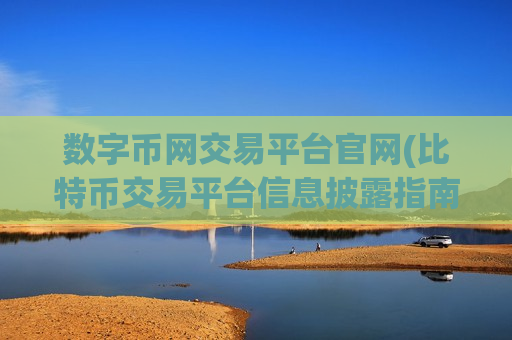 数字币网交易平台官网(比特币交易平台信息披露指南)-第1张图片-币圈网