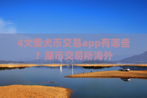 4大柴犬币交易app有哪些?屎币交易所海外-第1张图片-币圈网 4大柴犬币交易app有哪些?屎币交易所海外-第1张图片-币圈网
