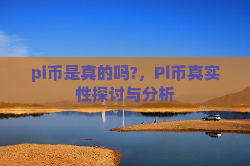 pi币是真的吗?，Pi币真实性探讨与分析