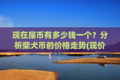 现在屎币有多少钱一个？分析柴犬币的价格走势(现价0.00016091元)