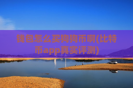 钱包怎么买狗狗币啊(比特币app真实评测)-第1张图片-币圈网