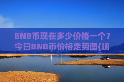 BNB币现在多少价格一个？今曰BNB币价格走势图(现价4868.94元)-第1张图片-币圈网