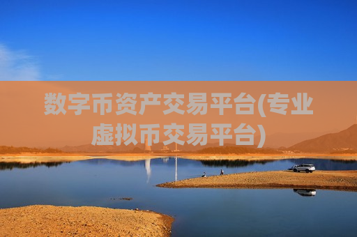 数字币资产交易平台(专业虚拟币交易平台)-第1张图片-币圈网