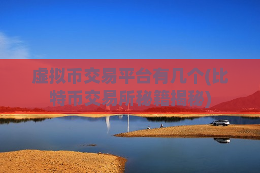 虚拟币交易平台有几个(比特币交易所秘籍揭秘)-第1张图片-币圈网