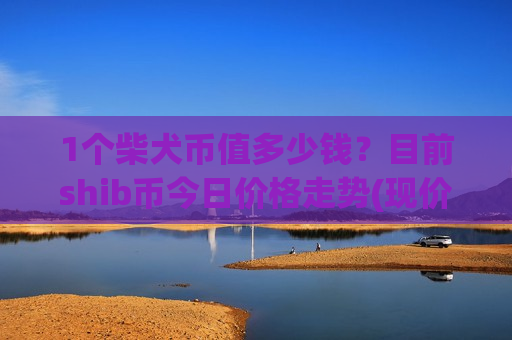 1个柴犬币值多少钱?目前shib币今日价格走势(现价0.00016099元)-第1张图片-币圈网 1个柴犬币值多少钱?目前shib币今日价格走势(现价0.00016099元)-第1张图片-币圈网