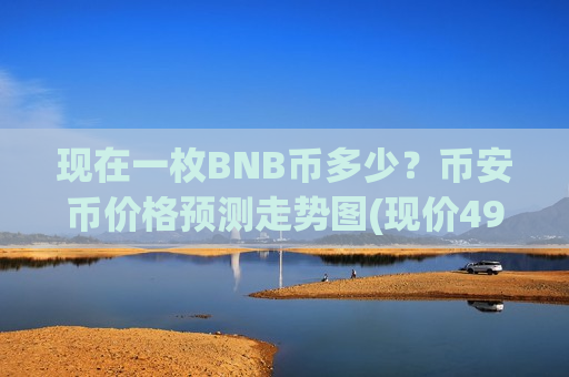 现在一枚BNB币多少？币安币价格预测走势图(现价4907.39元)