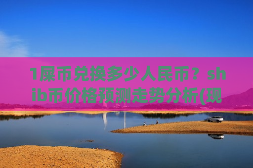 1屎币兑换多少人民币？shib币价格预测走势分析(现价0.00016719元)