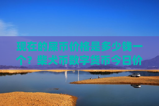 现在的屎币价格是多少钱一个？柴犬币数字货币今日价格(现价0.00016707元)