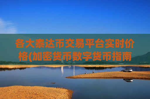 各大泰达币交易平台实时价格(加密货币数字货币指南)