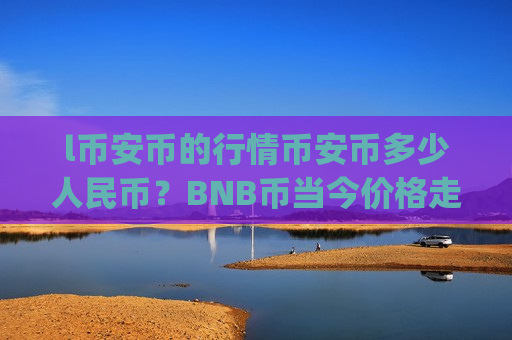 l币安币的行情币安币多少人民币？BNB币当今价格走势分析(现价4896.44元)