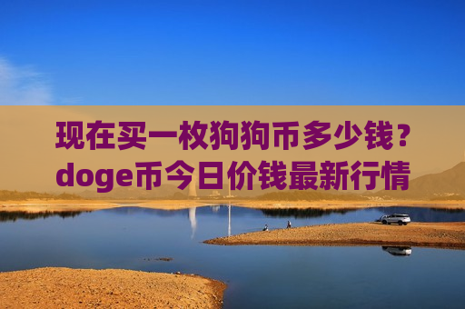现在买一枚狗狗币多少钱？doge币今日价钱最新行情(现价2.4004元)-第1张图片-币圈网