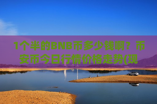 1个半的BNB币多少钱啊？币安币今日行情价格走势(现价4872.59元)