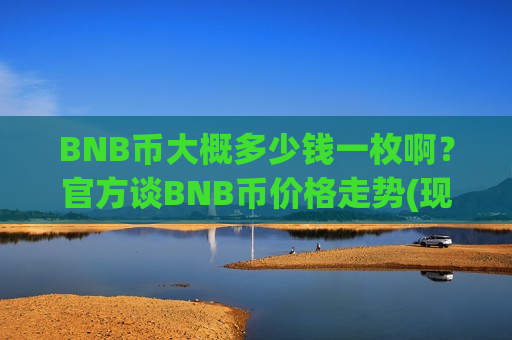 BNB币大概多少钱一枚啊？官方谈BNB币价格走势(现价4969.09元)-第1张图片-币圈网