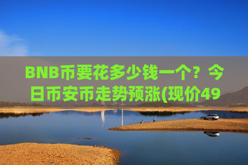 BNB币要花多少钱一个？今日币安币走势预涨(现价4969.76元)-第1张图片-币圈网