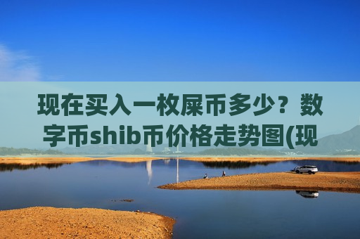 现在买入一枚屎币多少？数字币shib币价格走势图(现价0.0001615元)-第1张图片-币圈网