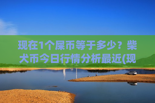 现在1个屎币等于多少？柴犬币今日行情分析最近(现价0.00016091元)