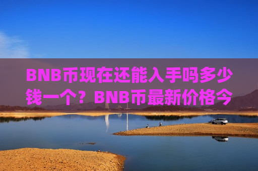 BNB币现在还能入手吗多少钱一个？BNB币最新价格今日价(现价4806.1元)