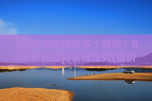 1个币安币现在多少钱啊?BNB币在国外价格走势(现价4784.91元)-第1张图片-币圈网 1个币安币现在多少钱啊?BNB币在国外价格走势(现价4784.91元)-第1张图片-币圈网