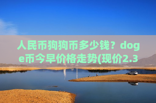 人民币狗狗币多少钱？doge币今早价格走势(现价2.3039元)-第1张图片-币圈网