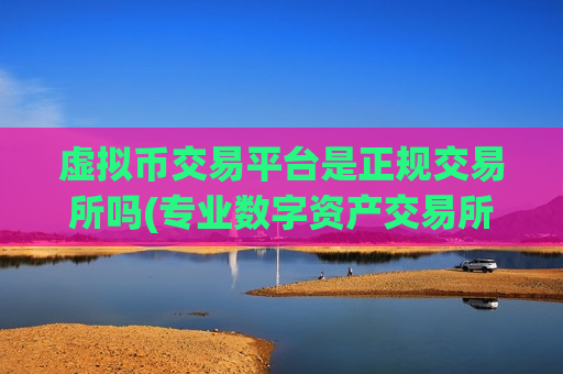 虚拟币交易平台是正规交易所吗(专业数字资产交易所app)