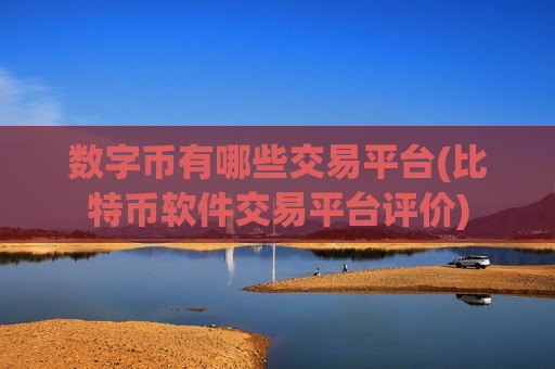 数字币有哪些交易平台(比特币软件交易平台评价)-第1张图片-币圈网