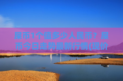 屎币1个值多少人民币？屎币今日走势最新行情(现价0.00016729元)-第1张图片-币圈网