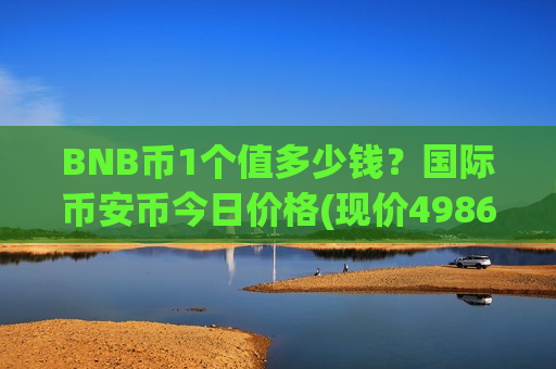 BNB币1个值多少钱？国际币安币今日价格(现价4986.74元)-第1张图片-币圈网