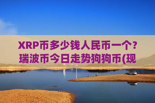 XRP币多少钱人民币一个？瑞波币今日走势狗狗币(现价16.6203元)-第1张图片-币圈网