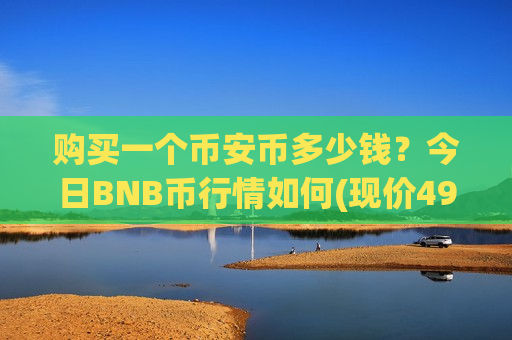 购买一个币安币多少钱？今日BNB币行情如何(现价4997.39元)
