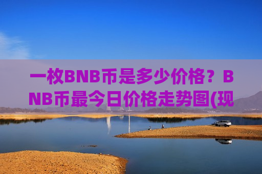 一枚BNB币是多少价格？BNB币最今日价格走势图(现价4988.28元)