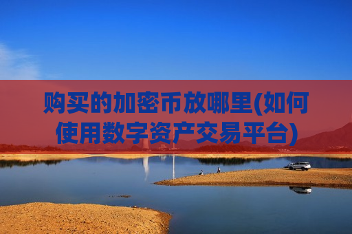购买的加密币放哪里(如何使用数字资产交易平台)-第1张图片-币圈网 购买的加密币放哪里(如何使用数字资产交易平台)-第1张图片-币圈网