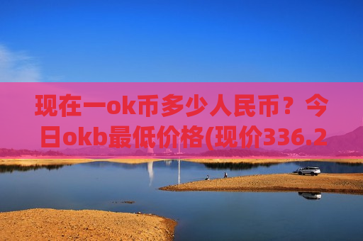 现在一ok币多少人民币？今日okb最低价格(现价336.255元)
