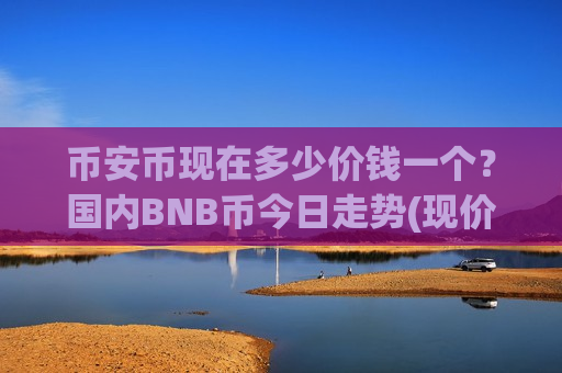 币安币现在多少价钱一个？国内BNB币今日走势(现价4957.27元)