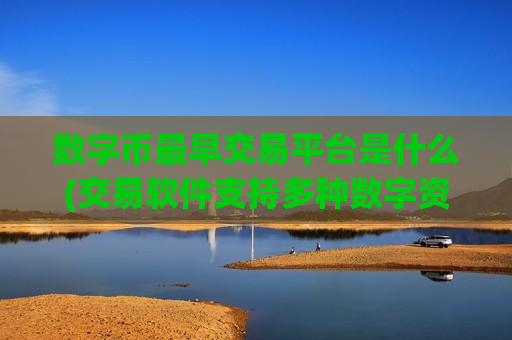 数字币最早交易平台是什么(交易软件支持多种数字资产)